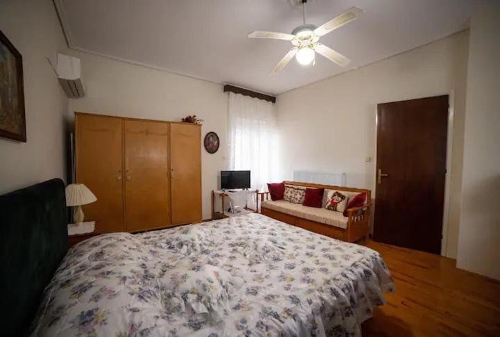 Loft House Trikala Apartment Екстериор снимка