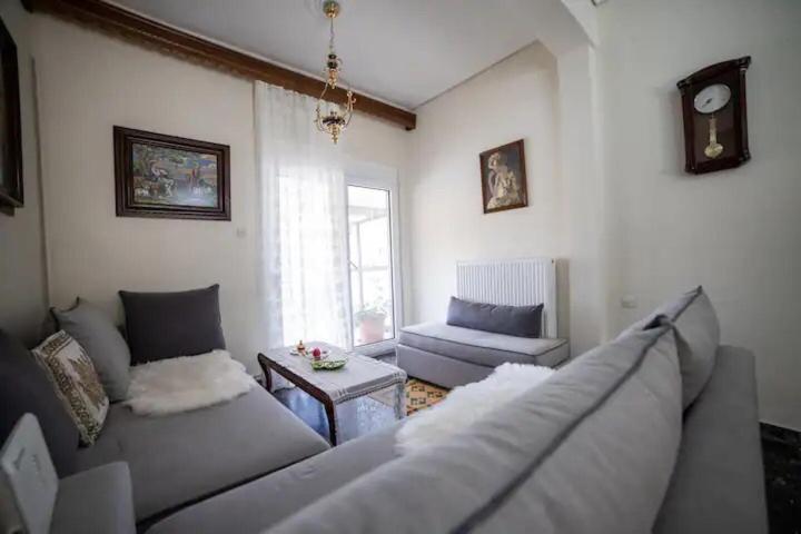 Loft House Trikala Apartment Екстериор снимка